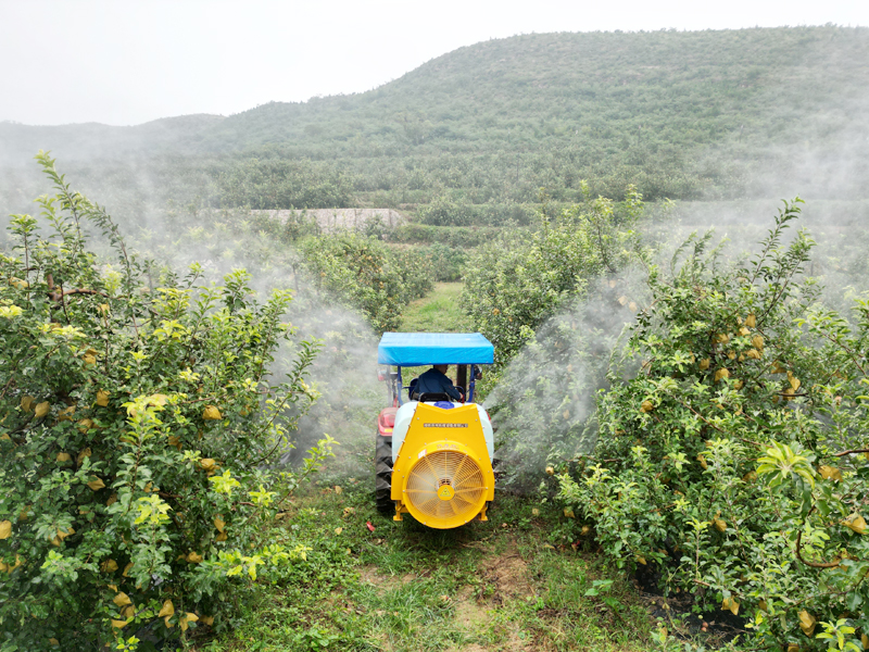 背負式風送果園噴霧機給蘋果樹打藥